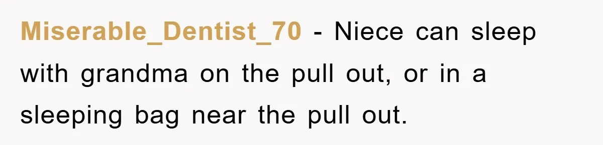 Miserable_Dentist_70 − Niece can sleep with grandma on the pull out, or in a sleeping bag near the pull out.
