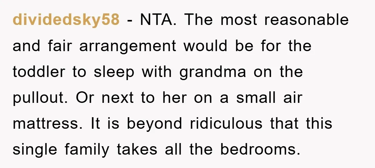 dividedsky58 − NTA. The most reasonable and fair arrangement would be for the toddler to sleep with grandma on the pullout. Or next to her on a small air mattress....