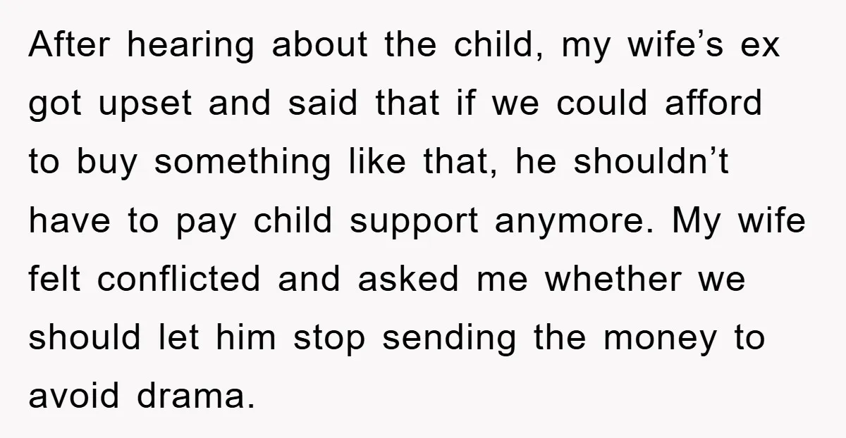 After hearing about the child, my wife’s ex got upset and said that if we could afford to buy something like that, he shouldn’t have to pay child support anymore....