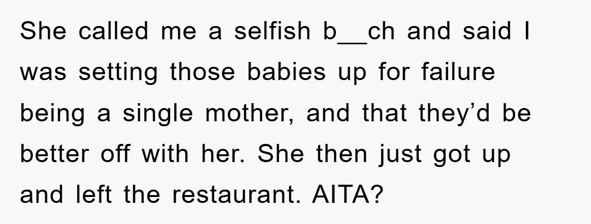 She called me a selfish b__ch and said I was setting those babies up for failure being a single mother, and that they’d be better off with her. She then...