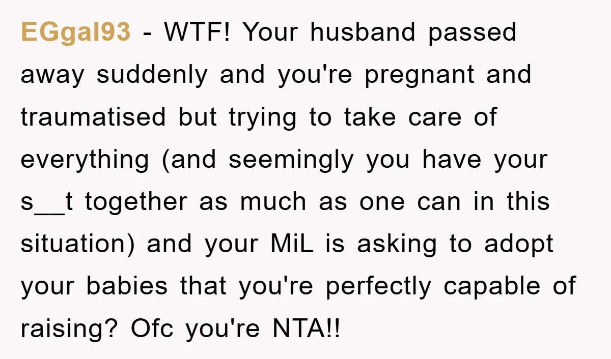 EGgal93 − WTF! Your husband passed away suddenly and you're pregnant and traumatised but trying to take care of everything (and seemingly you have your s__t together as much as...