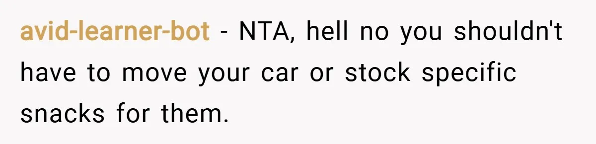 avid-learner-bot − NTA, hell no you shouldn't have to move your car or stock specific snacks for them.