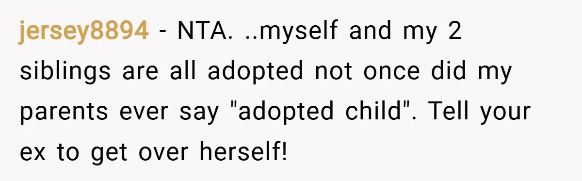 jersey8894 − NTA. ..myself and my 2 siblings are all adopted not once did my parents ever say "adopted child". Tell your ex to get over herself!