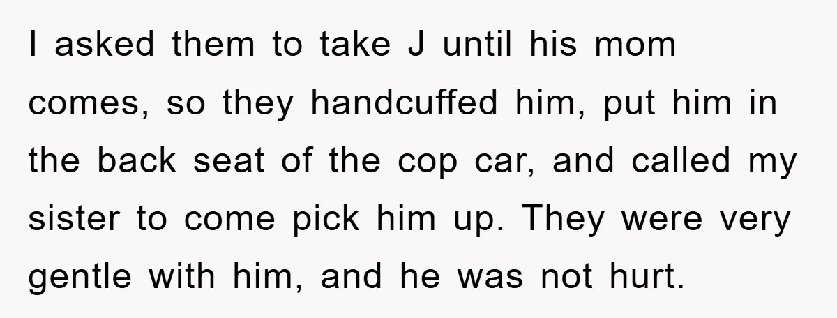 I asked them to take J until his mom comes, so they handcuffed him, put him in the back seat of the cop car, and called my sister to come...
