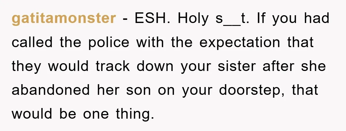 gatitamonster − ESH. Holy s__t. If you had called the police with the expectation that they would track down your sister after she abandoned her son on your doorstep, that...