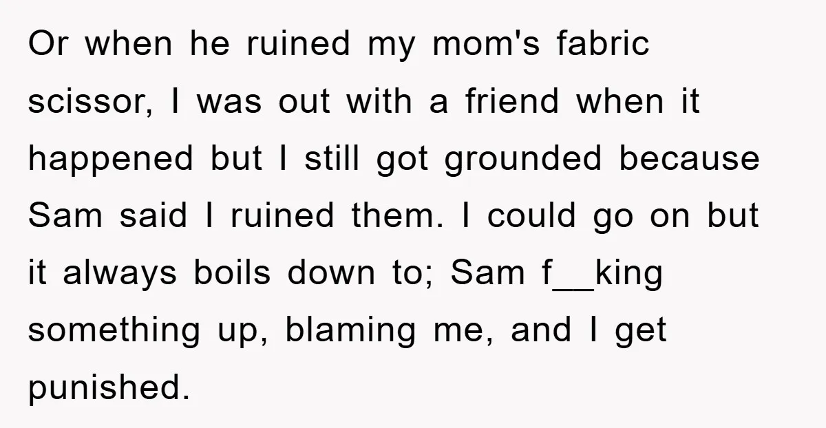 Or when he ruined my mom's fabric scissor, I was out with a friend when it happened but I still got grounded because Sam said I ruined them. I could...