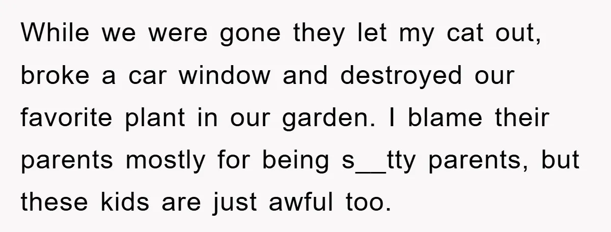 While we were gone they let my cat out, broke a car window and destroyed our favorite plant in our garden. I blame their parents mostly for being s__tty parents,...