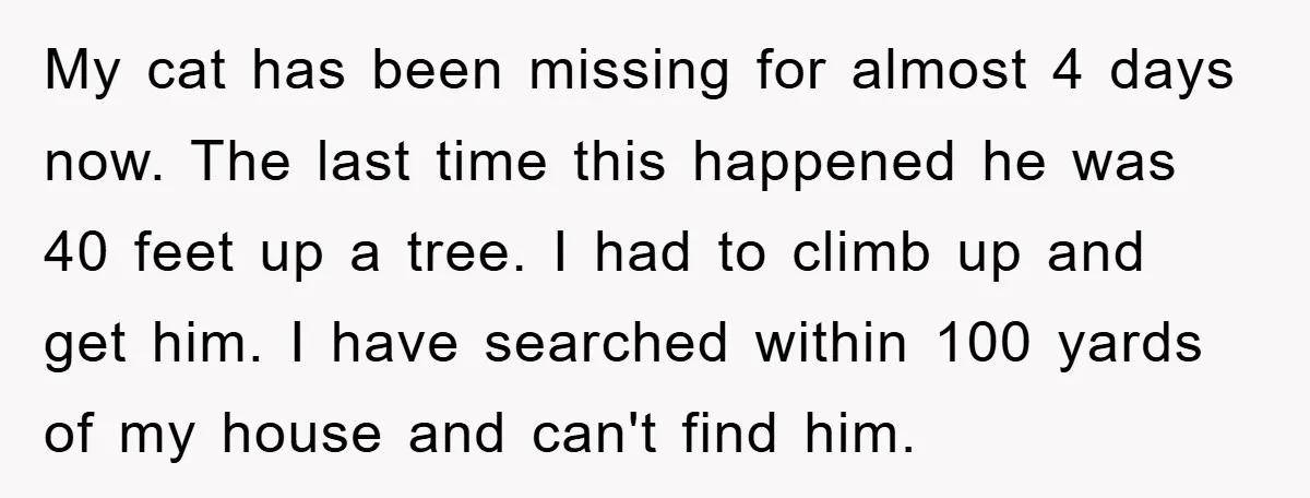 My cat has been missing for almost 4 days now. The last time this happened he was 40 feet up a tree. I had to climb up and get him....