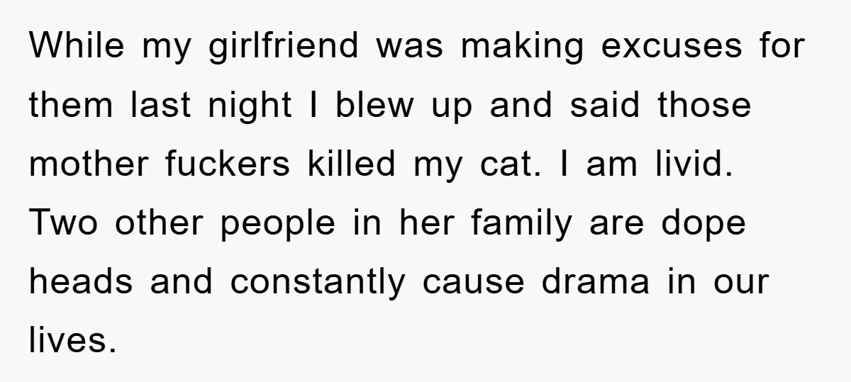 While my girlfriend was making excuses for them last night I blew up and said those mother fuckers killed my cat. I am livid. Two other people in her family...
