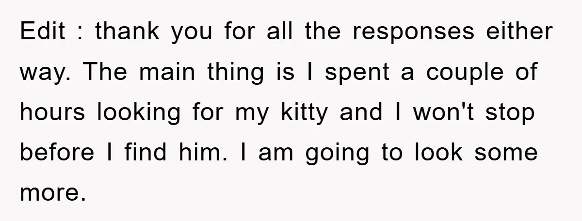 Edit : thank you for all the responses either way. The main thing is I spent a couple of hours looking for my kitty and I won't stop before I...