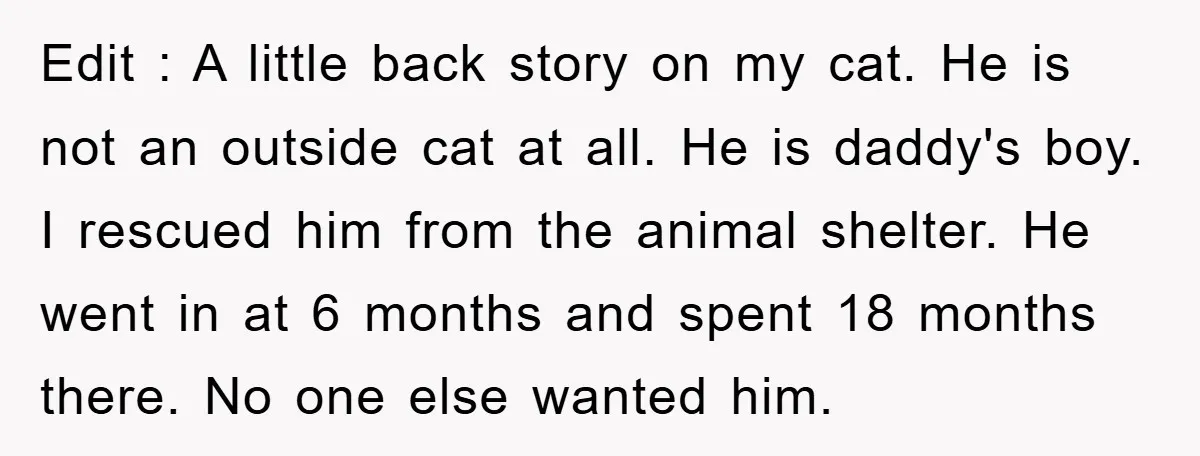 Edit : A little back story on my cat. He is not an outside cat at all. He is daddy's boy. I rescued him from the animal shelter. He went...