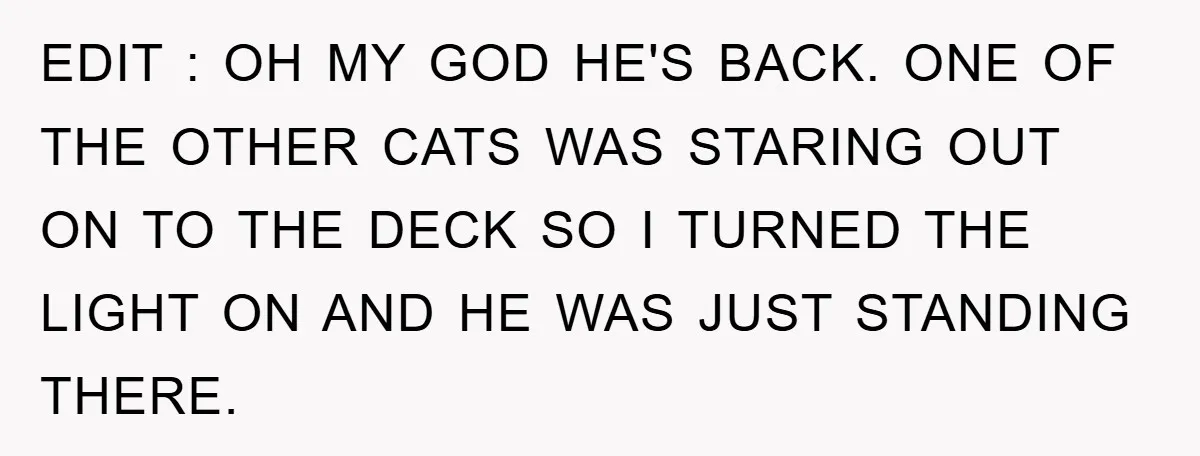EDIT : OH MY GOD HE'S BACK. ONE OF THE OTHER CATS WAS STARING OUT ON TO THE DECK SO I TURNED THE LIGHT ON AND HE WAS JUST STANDING...