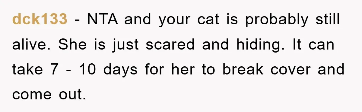 dck133 − NTA and your cat is probably still alive. She is just scared and hiding. It can take 7 - 10 days for her to break cover and come...