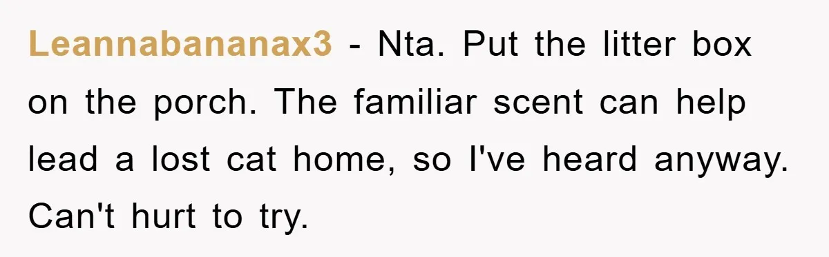 Leannabananax3 − Nta. Put the litter box on the porch. The familiar scent can help lead a lost cat home, so I've heard anyway. Can't hurt to try.