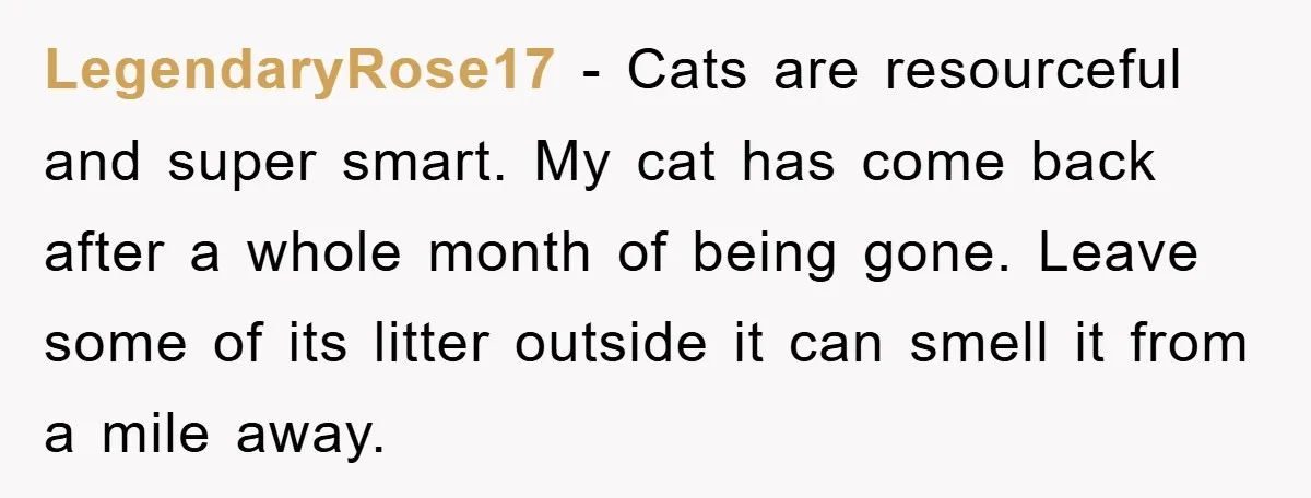 LegendaryRose17 − Cats are resourceful and super smart. My cat has come back after a whole month of being gone. Leave some of its litter outside it can smell it...