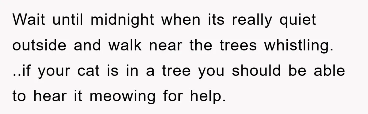 Wait until midnight when its really quiet outside and walk near the trees whistling. ..if your cat is in a tree you should be able to hear it meowing for...