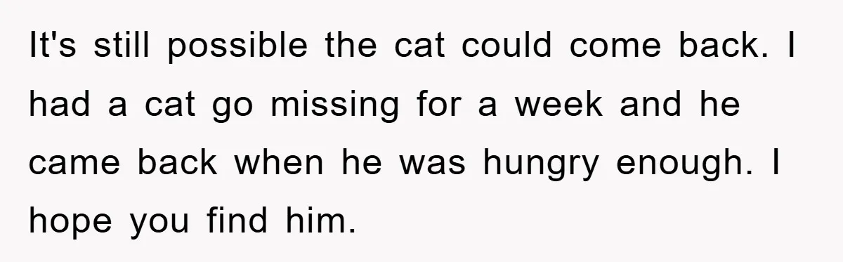 It's still possible the cat could come back. I had a cat go missing for a week and he came back when he was hungry enough. I hope you find...