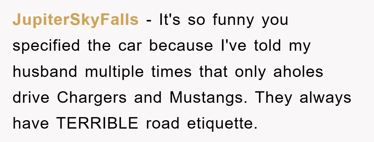 JupiterSkyFalls − It's so funny you specified the car because I've told my husband multiple times that only aholes drive Chargers and Mustangs. They always have TERRIBLE road etiquette.