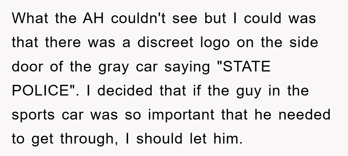 What the AH couldn't see but I could was that there was a discreet logo on the side door of the gray car saying "STATE POLICE". I decided that if...
