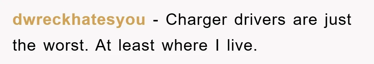 dwreckhatesyou − Charger drivers are just the worst. At least where I live.
