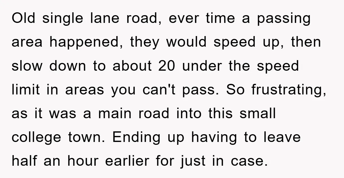 Old single lane road, ever time a passing area happened, they would speed up, then slow down to about 20 under the speed limit in areas you can't pass. So...