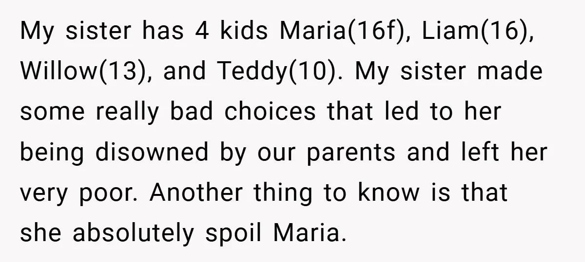 My sister has 4 kids Maria(16f), Liam(16), Willow(13), and Teddy(10). My sister made some really bad choices that led to her being disowned by our parents and left her very...