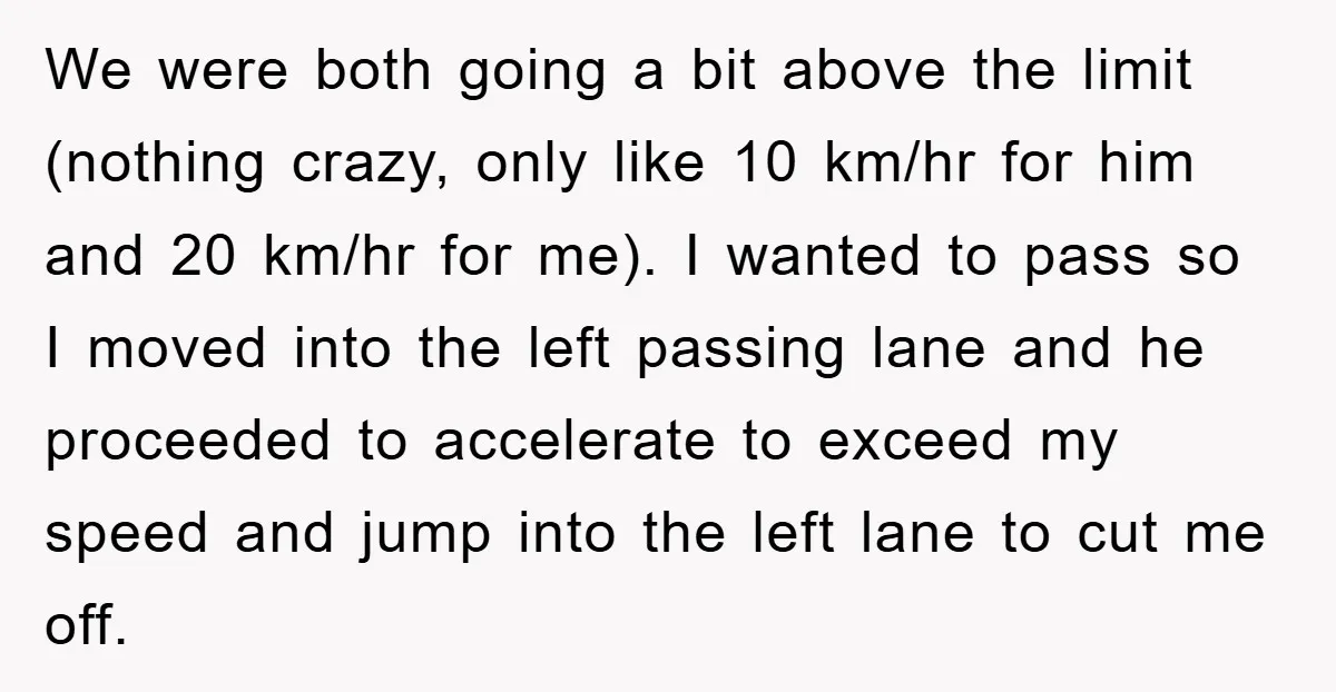 We were both going a bit above the limit (nothing crazy, only like 10 km/hr for him and 20 km/hr for me). I wanted to pass so I moved into...