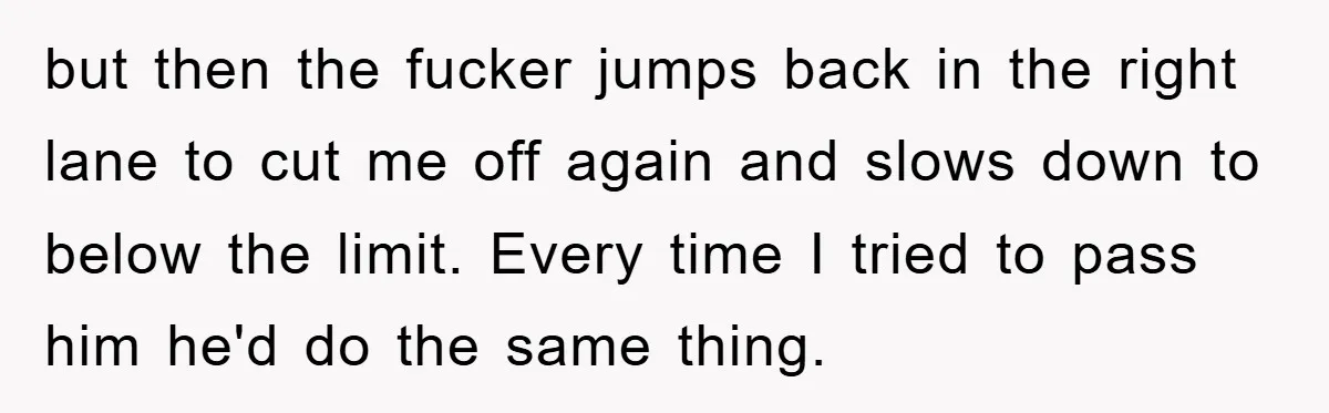 but then the fucker jumps back in the right lane to cut me off again and slows down to below the limit. Every time I tried to pass him he'd...