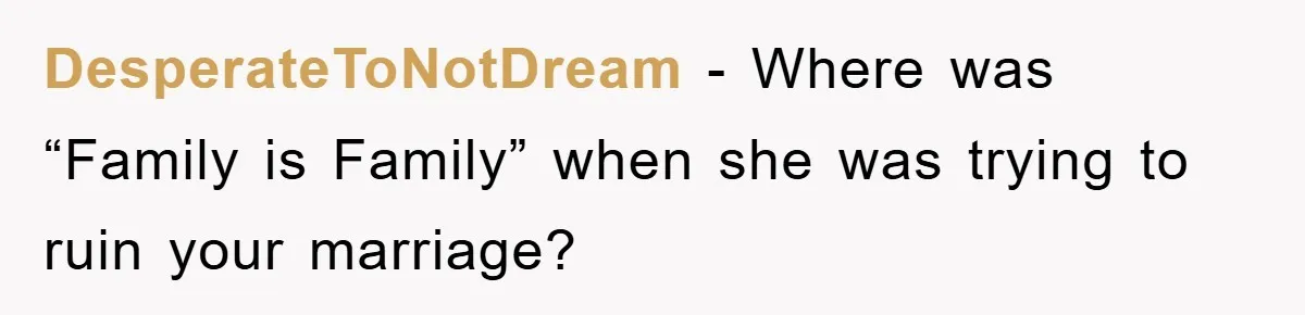 DesperateToNotDream − Where was “Family is Family” when she was trying to ruin your marriage?