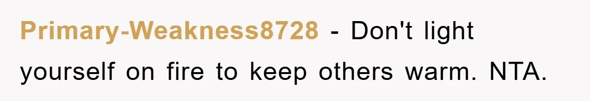 Primary-Weakness8728 - Don't light yourself on fire to keep others warm. NTA.
