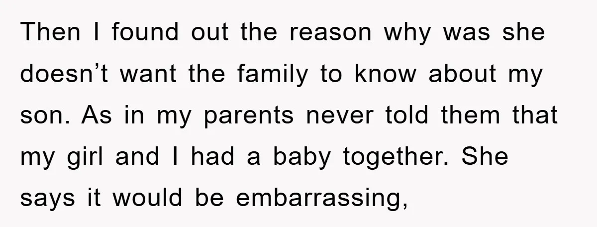 Then I found out the reason why was she doesn’t want the family to know about my son. As in my parents never told them that my girl and I...