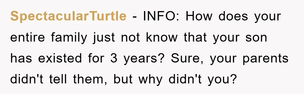 SpectacularTurtle − INFO: How does your entire family just not know that your son has existed for 3 years? Sure, your parents didn't tell them, but why didn't you?