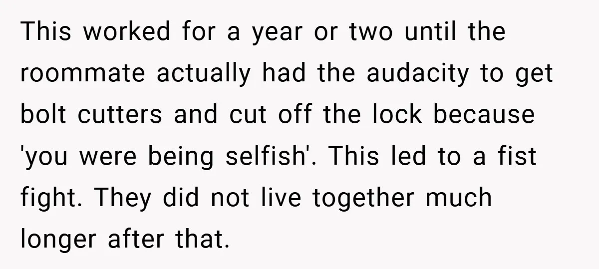 This worked for a year or two until the roommate actually had the audacity to get bolt cutters and cut off the lock because 'you were being selfish'. This led...