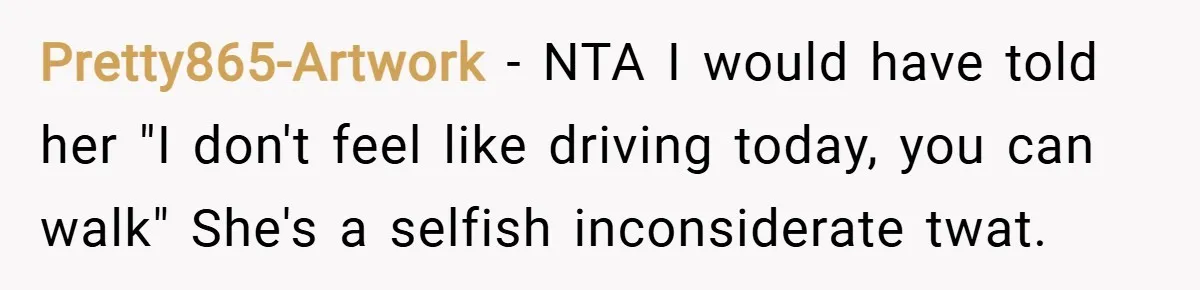 Pretty865-Artwork − NTA I would have told her "I don't feel like driving today, you can walk" She's a selfish inconsiderate twat.