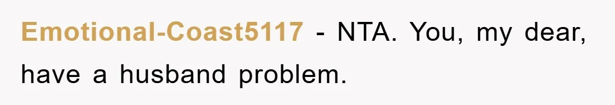 Emotional-Coast5117 - NTA. You, my dear, have a husband problem.
