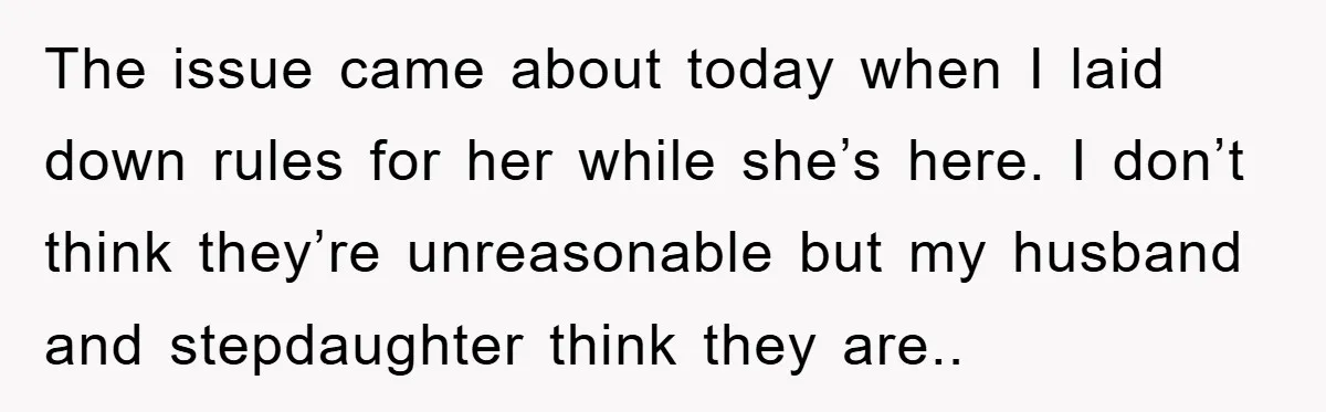 The issue came about today when I laid down rules for her while she’s here. I don’t think they’re unreasonable but my husband and stepdaughter think they are..