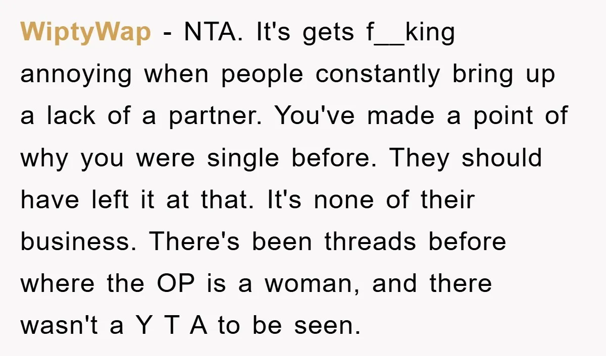 WiptyWap − NTA. It's gets f__king annoying when people constantly bring up a lack of a partner. You've made a point of why you were single before. They should have...