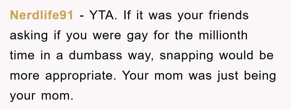 Nerdlife91 − YTA. If it was your friends asking if you were gay for the millionth time in a dumbass way, snapping would be more appropriate. Your mom was just...