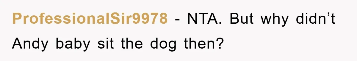 ProfessionalSir9978 − NTA. But why didn’t Andy baby sit the dog then?