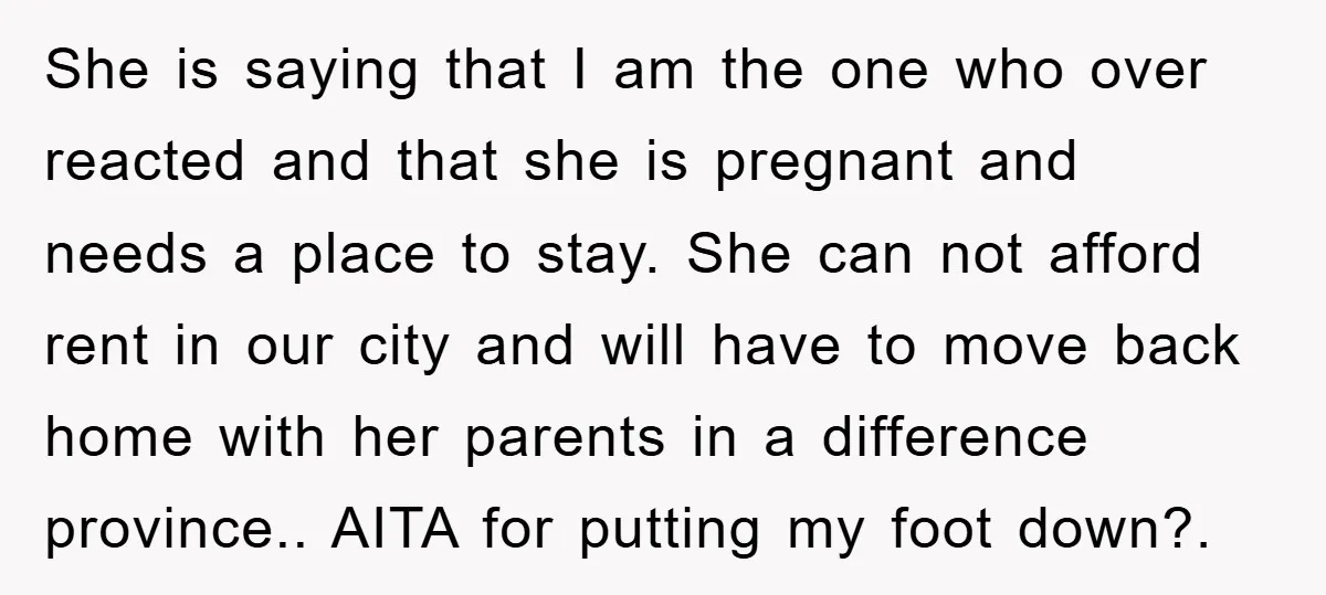She is saying that I am the one who over reacted and that she is pregnant and needs a place to stay. She can not afford rent in our city...