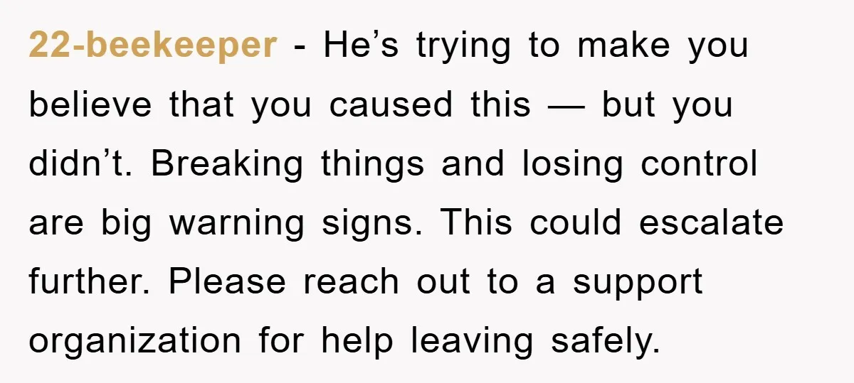 22-beekeeper - He’s trying to make you believe that you caused this — but you didn’t. Breaking things and losing control are big warning signs. This could escalate further. Please...