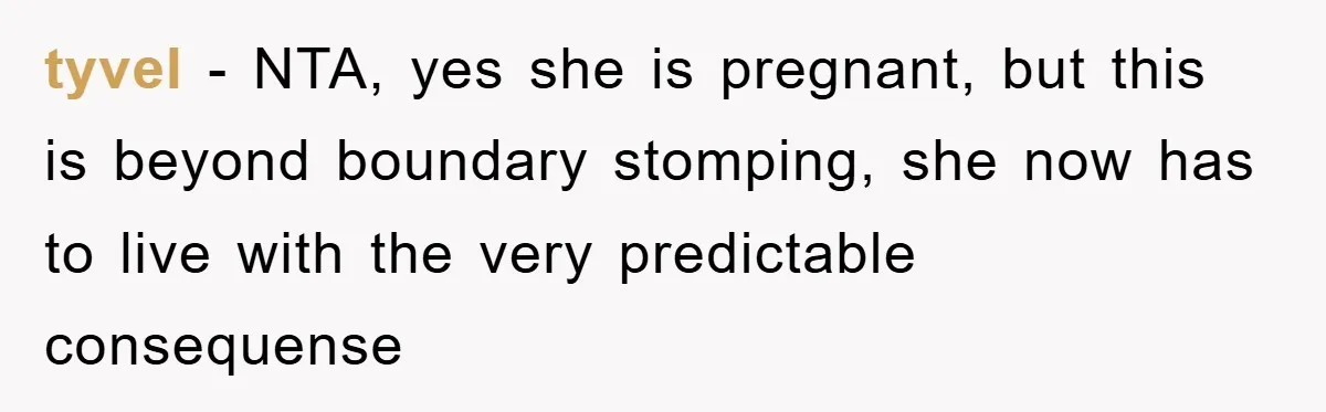 tyvel − NTA, yes she is pregnant, but this is beyond boundary stomping, she now has to live with the very predictable consequense
