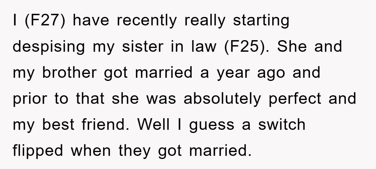 I (F27) have recently really starting despising my sister in law (F25). She and my brother got married a year ago and prior to that she was absolutely perfect and...
