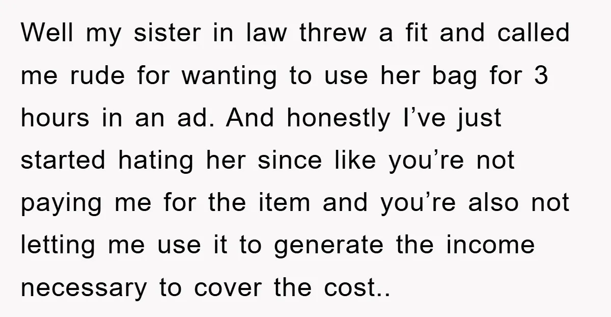 Well my sister in law threw a fit and called me rude for wanting to use her bag for 3 hours in an ad. And honestly I’ve just started hating...