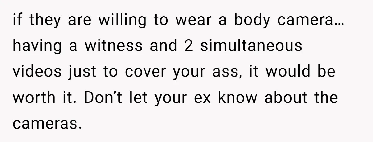 if they are willing to wear a body camera…having a witness and 2 simultaneous videos just to cover your ass, it would be worth it. Don’t let your ex know...