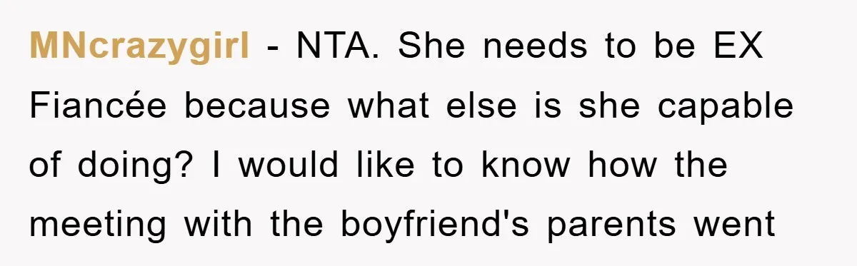 MNcrazygirl − NTA. She needs to be EX Fiancée because what else is she capable of doing? I would like to know how the meeting with the boyfriend's parents went