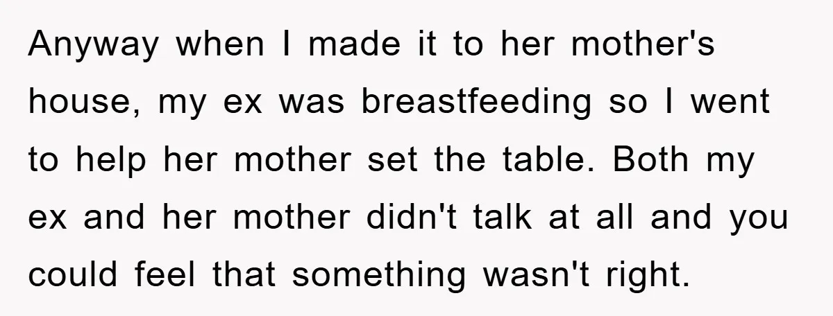 Anyway when I made it to her mother's house, my ex was breastfeeding so I went to help her mother set the table. Both my ex and her mother didn't...