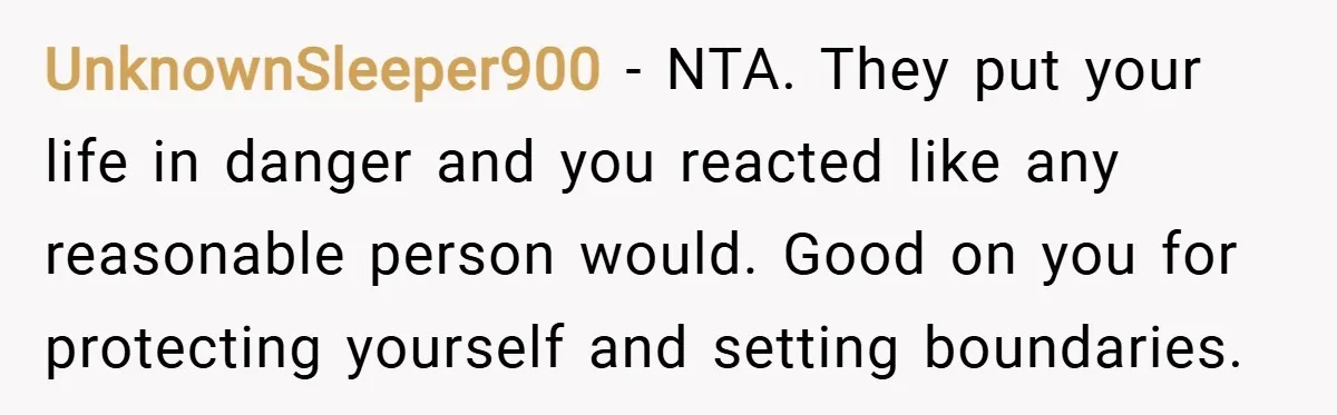 UnknownSleeper900 − NTA. They put your life in danger and you reacted like any reasonable person would. Good on you for protecting yourself and setting boundaries.