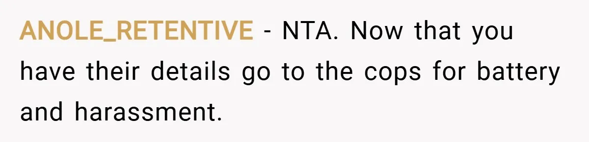 ANOLE_RETENTIVE − NTA. Now that you have their details go to the cops for battery and harassment.