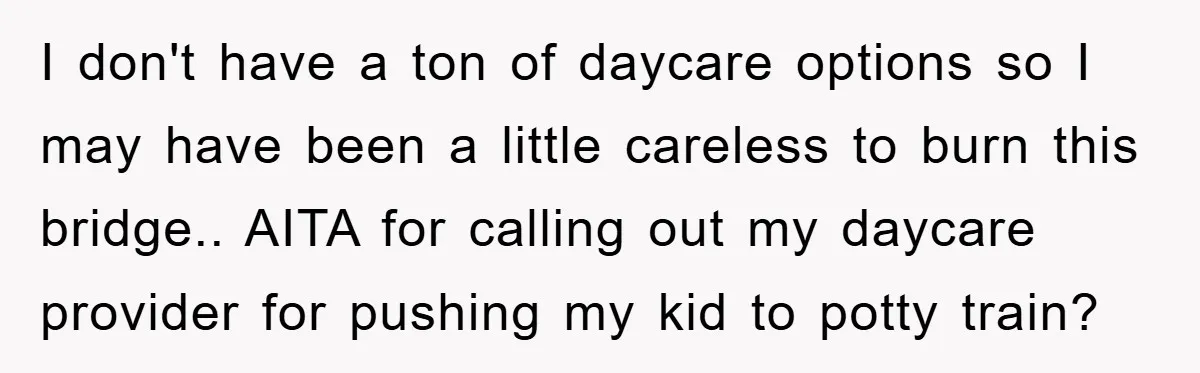 I don't have a ton of daycare options so I may have been a little careless to burn this bridge.. AITA for calling out my daycare provider for pushing my...